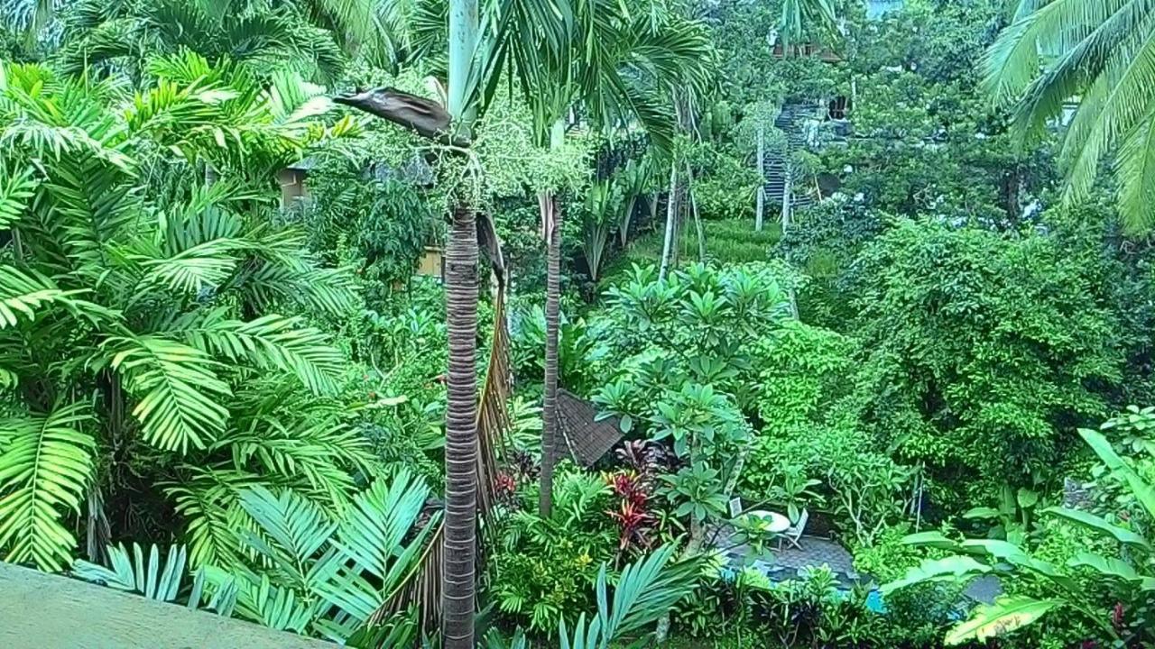Sari Wangi Cottage Ubud Exterior foto